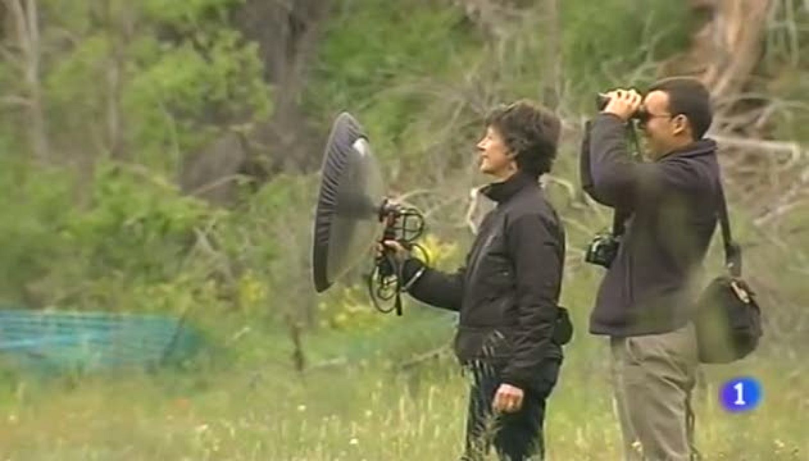 Noticias Aragón - 07/05/13 | Ver