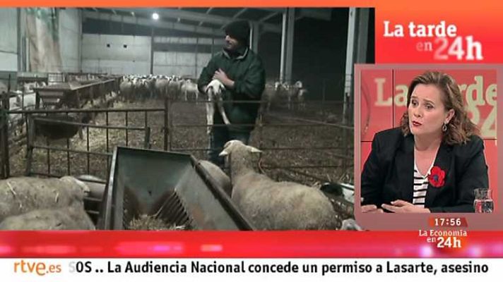 La tarde en 24h - Economía en 24 h. - 07/05/13