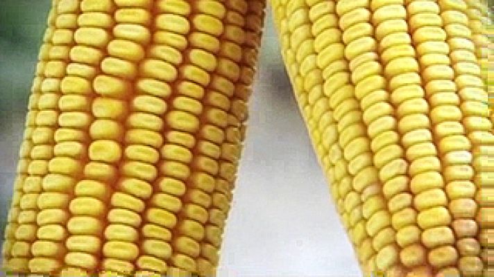 Universo UNED - MADRI+D