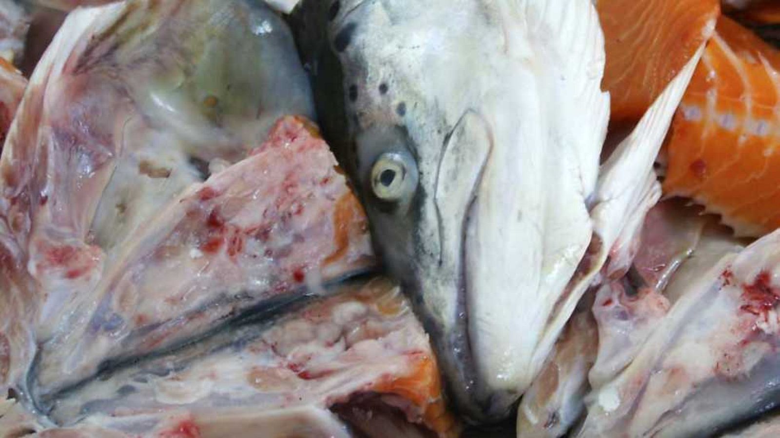 La noche temática - El escándalo del despilfarro alimentario - ver ahora