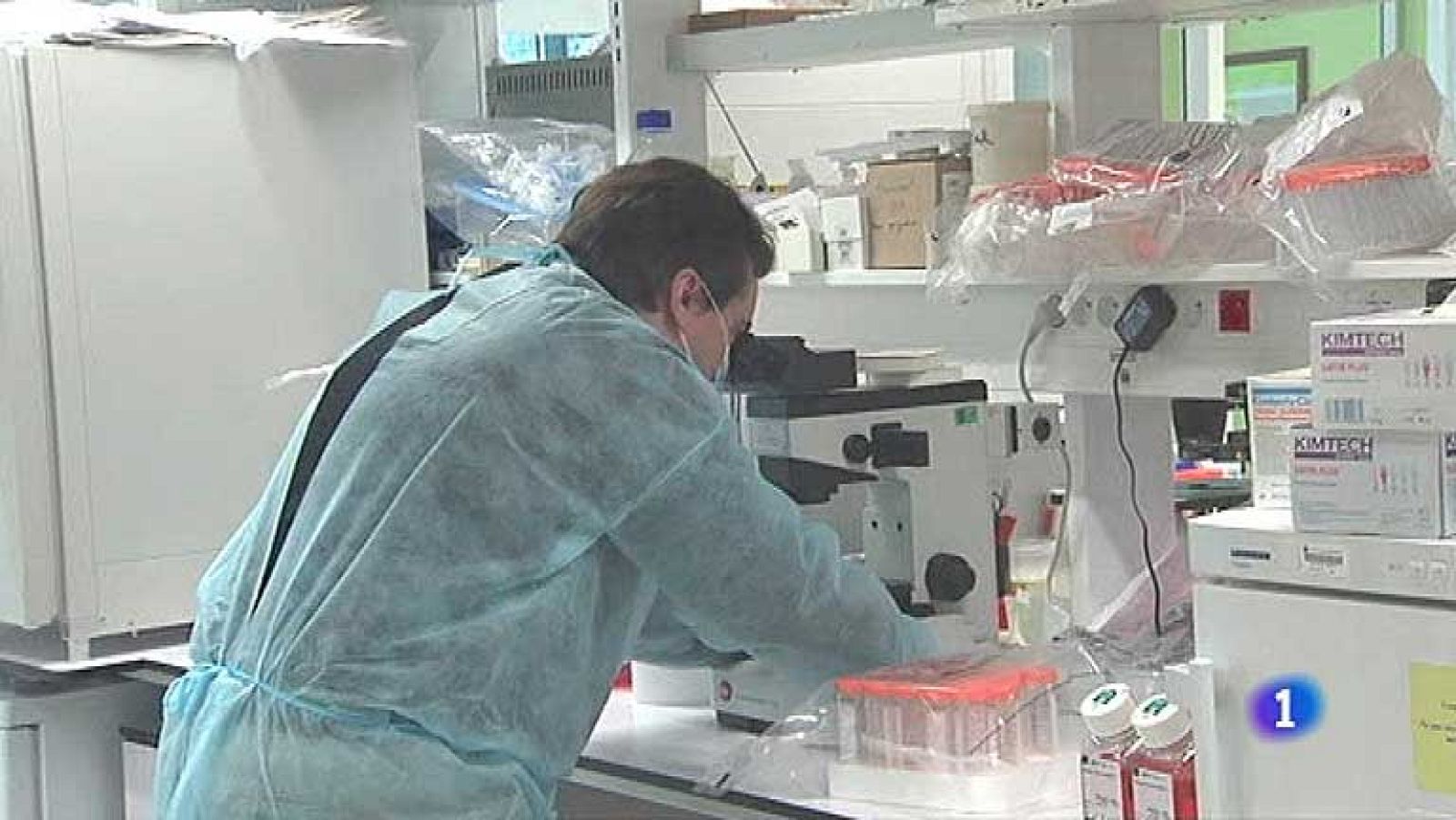 Investigan casos de pacientes de SIDA que, sin medicación, llevan siete años sin desarrollar la enfermedad