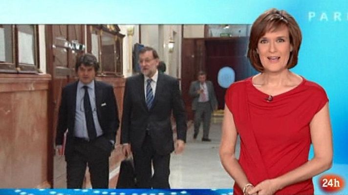 Parlamento - Resumen del 11/05/2013