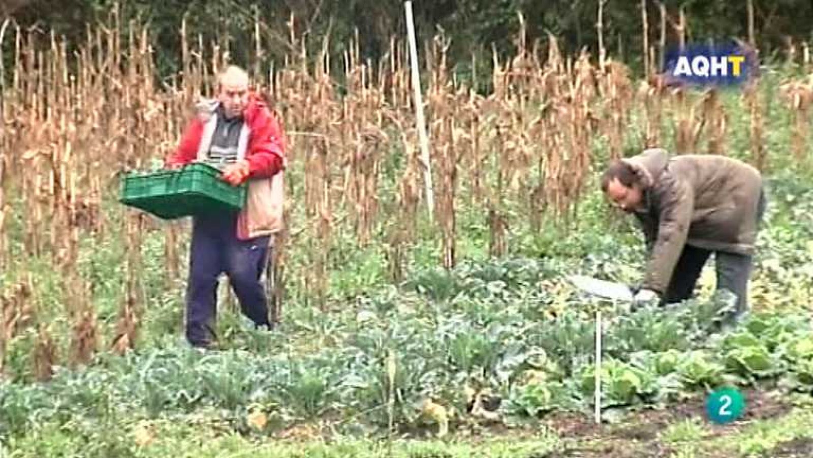 Aquí hay trabajo - 15/05/13 - Ver ahora