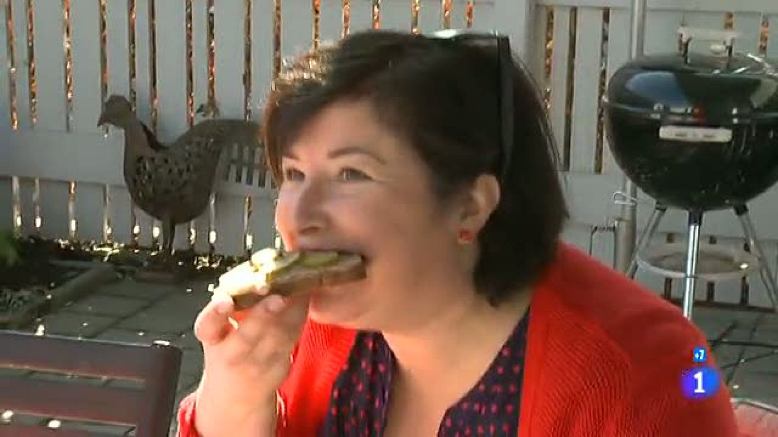 Españoles en el mundo - Malmo - Laura | Ver