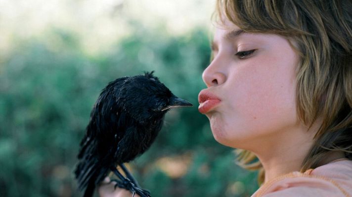 Días de cine - Días de cine: 'Kauwboy'