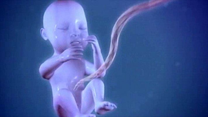 Universo UNED - MADRI+D.