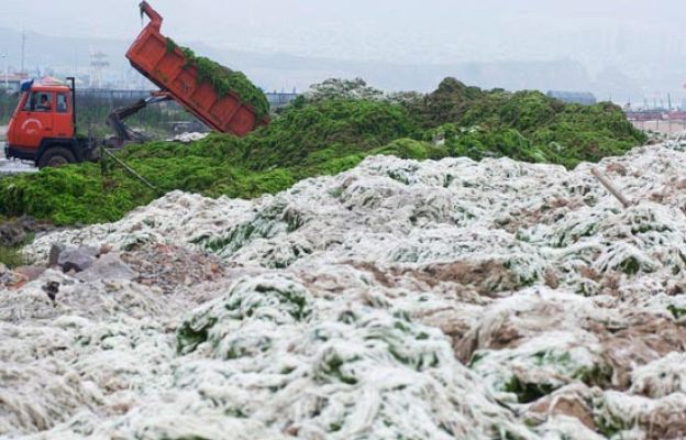  - China lucha contra la contaminación