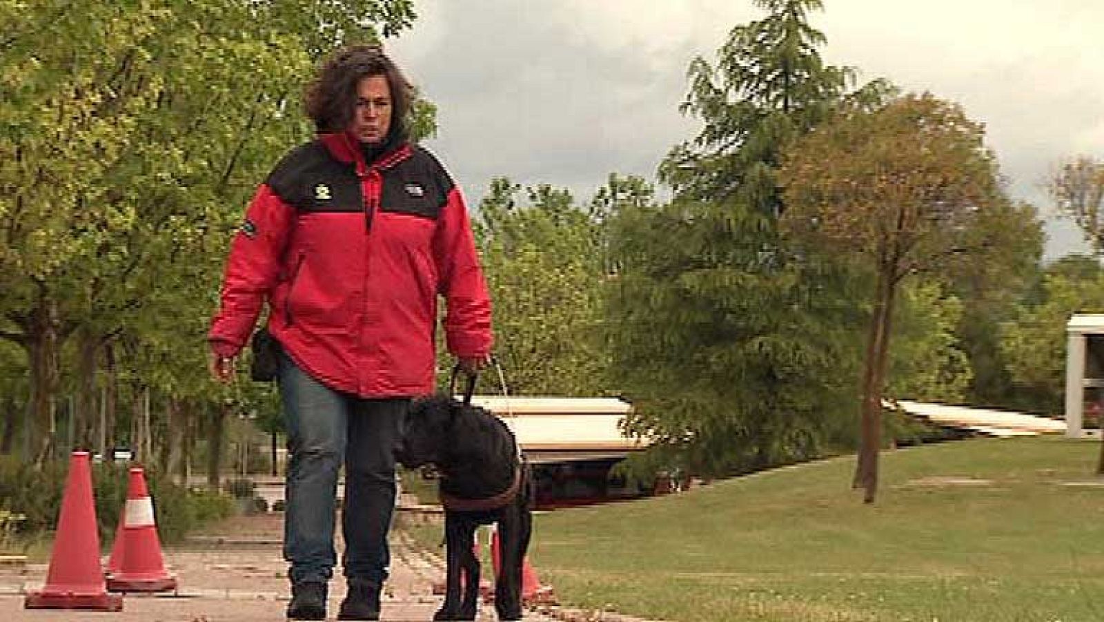 Un laboratorio catalán reduce la incidencia de la artrosis en los perros guía | Ver