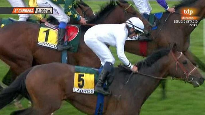 Turf - Turf - 19/05/13