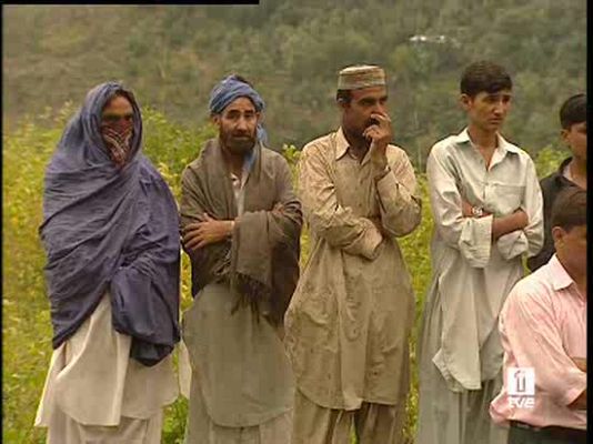  - Perros que salvan vidas