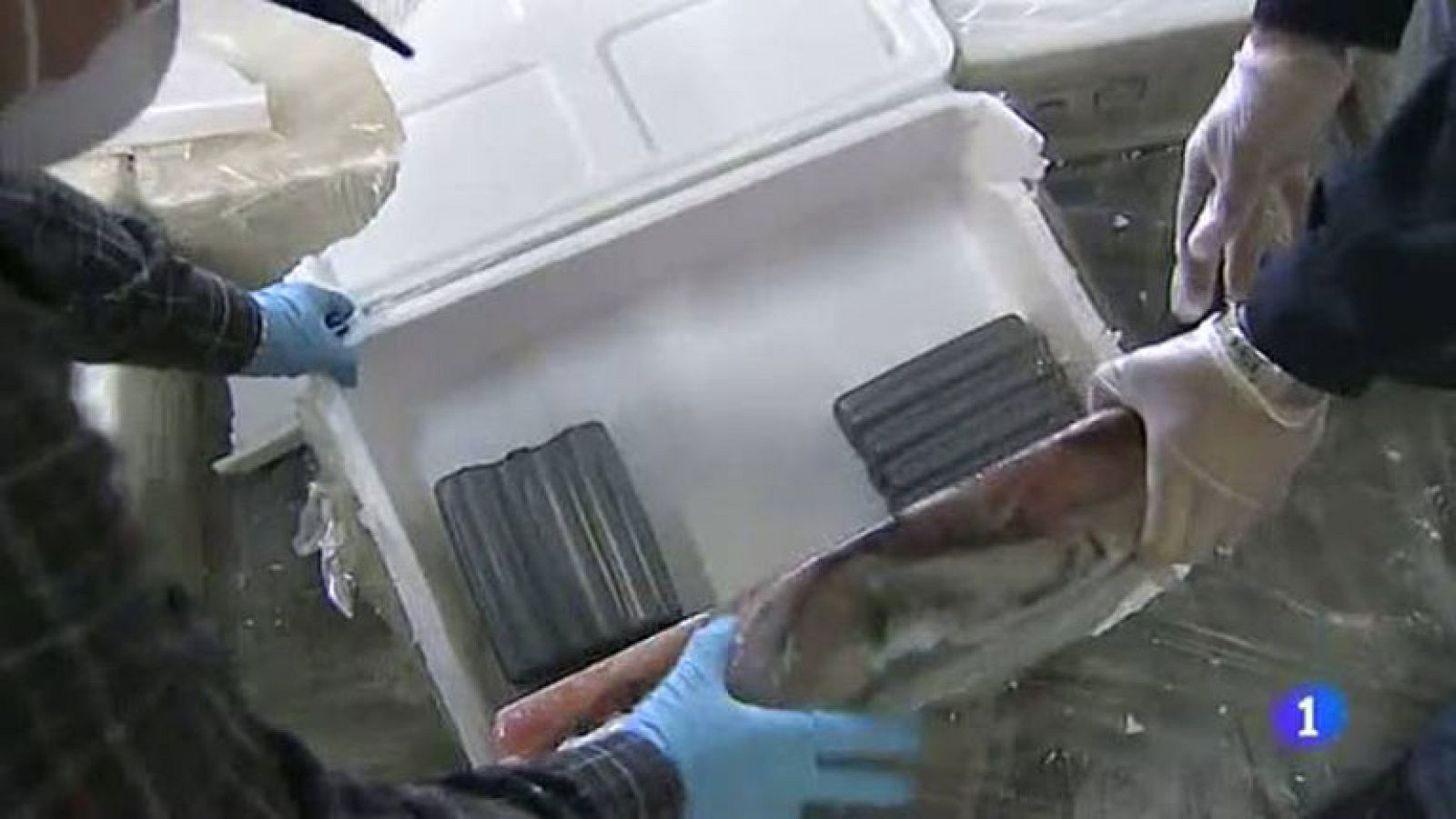 Barajas es uno de los principales puntos de entrada de cocaína en Europa | Ver