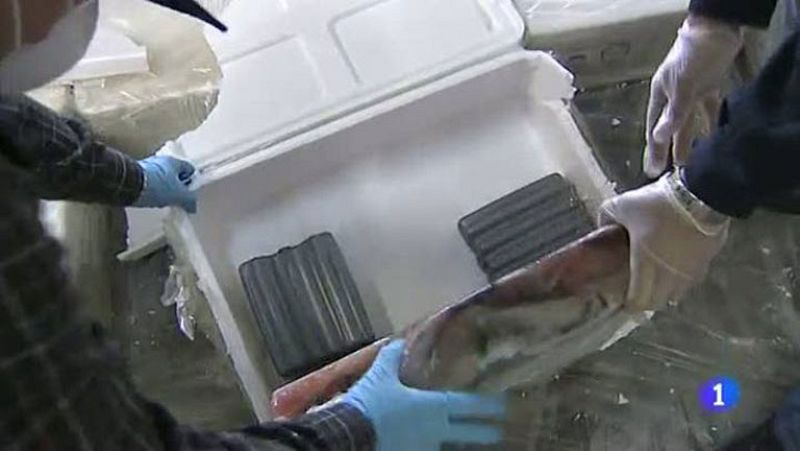 Barajas es uno de los principales puntos de entrada de cocaína en Europa | Ver