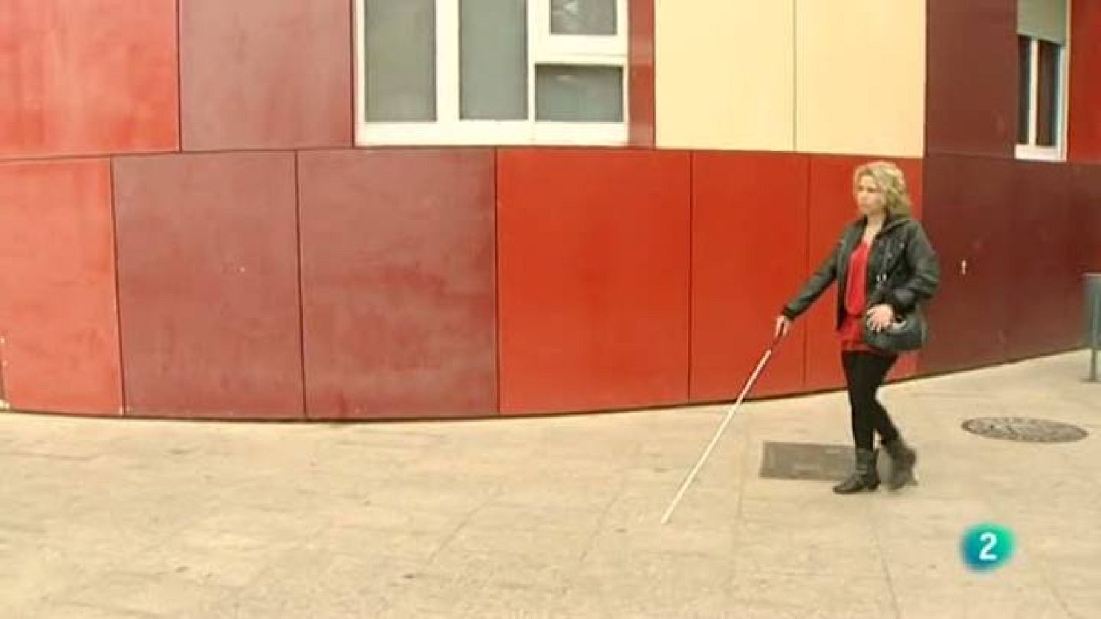 Para Todos La 2 - Debate: La integración de las personas ciegas