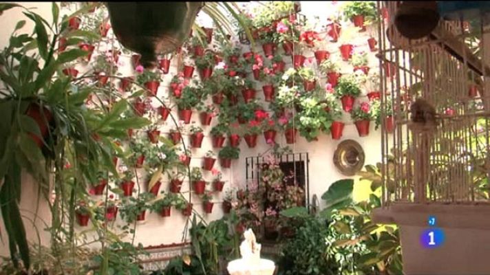 Comando Actualidad - La fiesta de los patios de Córdoba