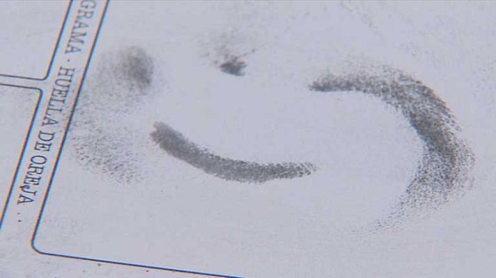 Telediario 1 - La oreja indentifica delincuentes