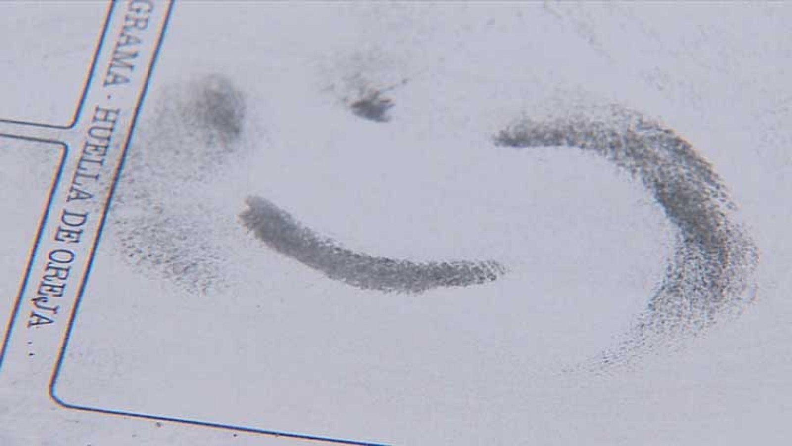 La huella de la oreja, herramienta de identificacion de delicuentes