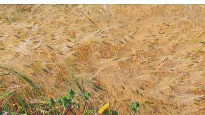 El tiempo - Las temperaturas subirán ligeramente en el norte y bajarán en el sur