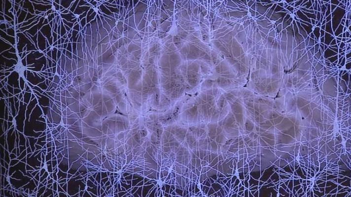 Telediario 1 - Conocer el cerebro con la música