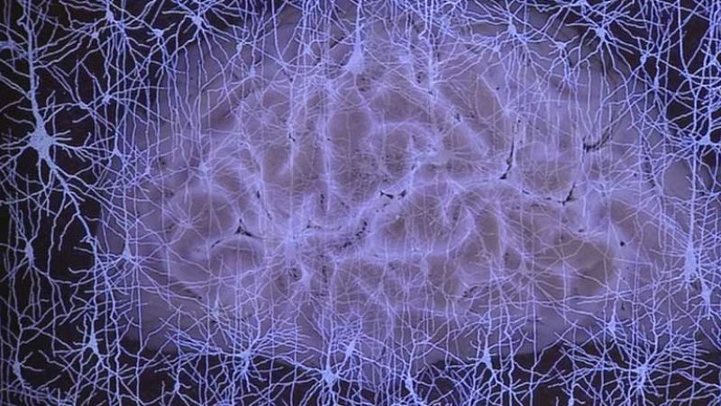 Conocer el cerebro a través de la música