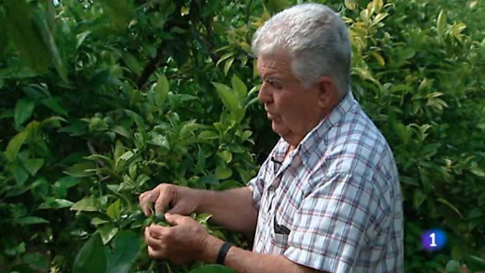 La Comunidad Valenciana en 2' - 28/05/13 - Ver ahora