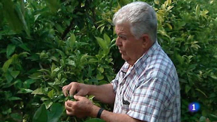 L'informatiu - Comunitat Valenciana - La Comunidad Valenciana en 2' - 28/05/13