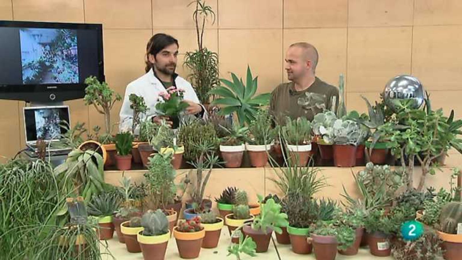 La aventura del saber - 29/05/13 - ver ahora