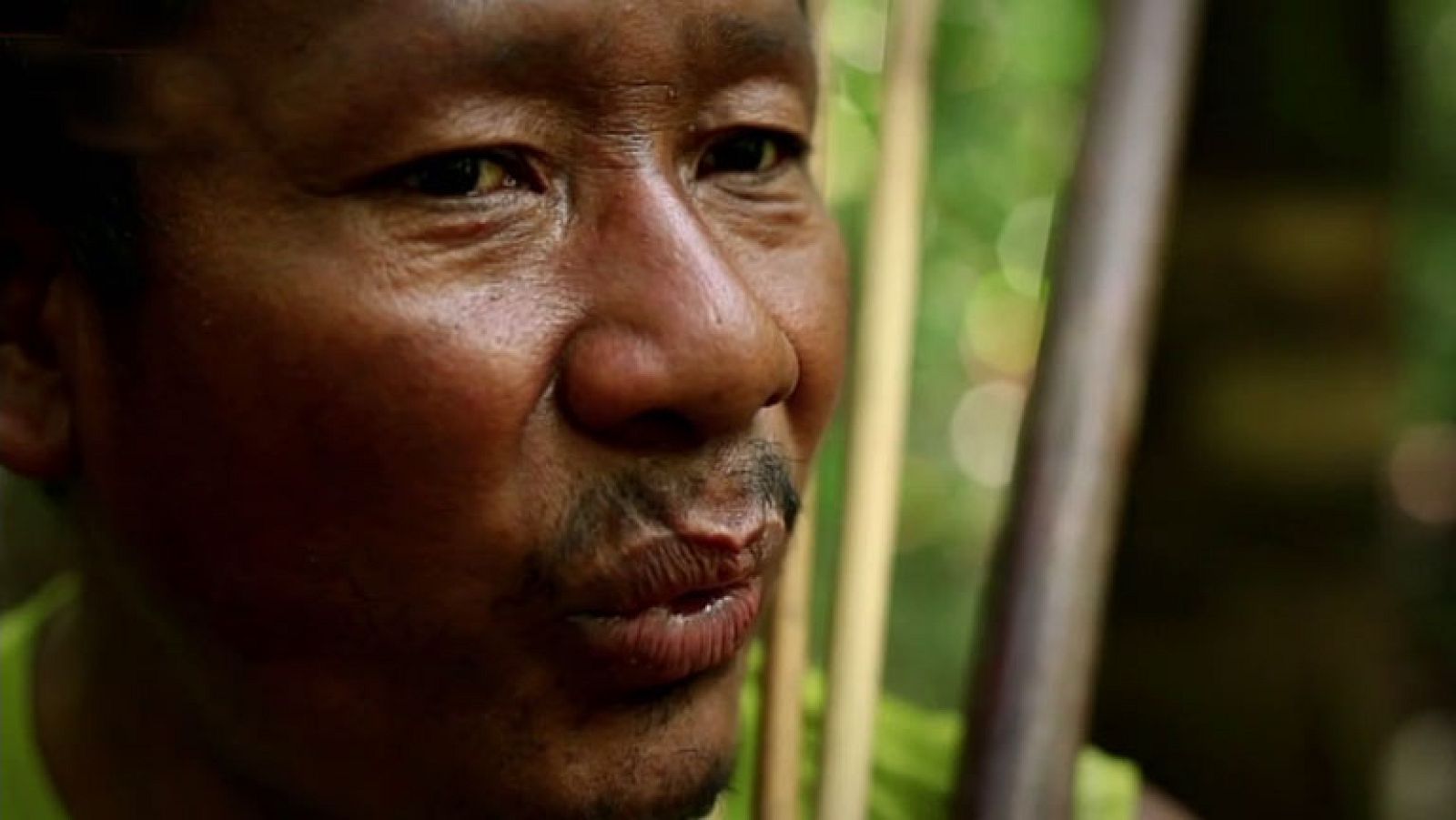 La Noche Temática - El código de la Amazonia - Comienzo - La noche temática | Ver