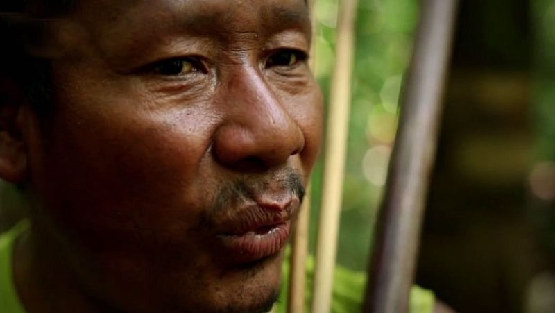 La Noche Temática - El código de la Amazonia - Comienzo - La noche temática | Ver