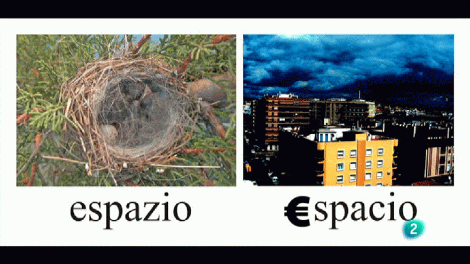 La Aventura del Saber. Boek Visual. Antonio Monterroso