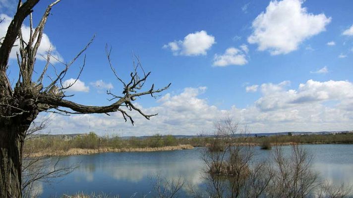 Informativo de Madrid - El tiempo en la Comunidad de Madrid - 31/05/13