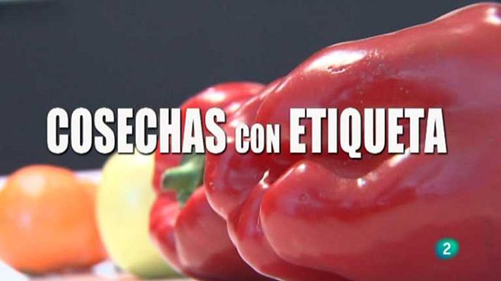 El escarabajo verde - Cosechas con etiqueta