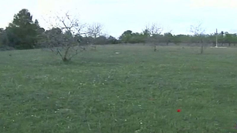 Revocado el proyecto de cannabis