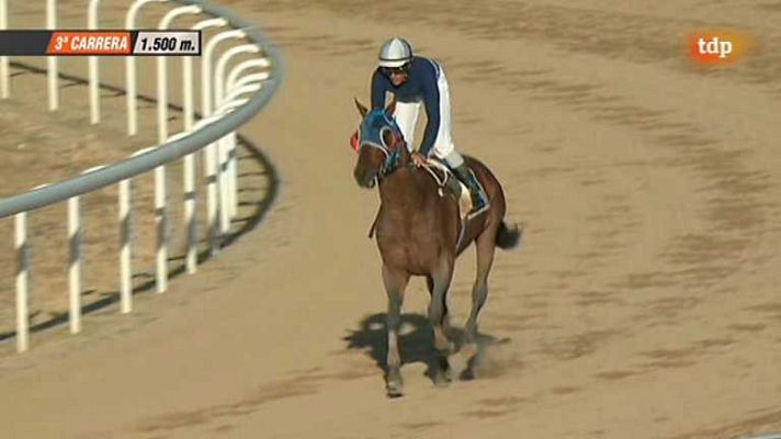 Turf - Turf - 31/05/13