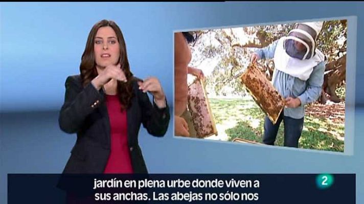 En lengua de signos - En lengua de signos - 01/06/13