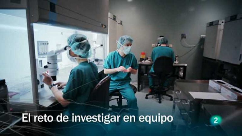 Redes - El reto de investigar en equipo - Ver ahora