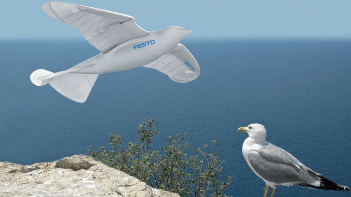 Buenas ideas TED - Un robot que vuela como un pájaro