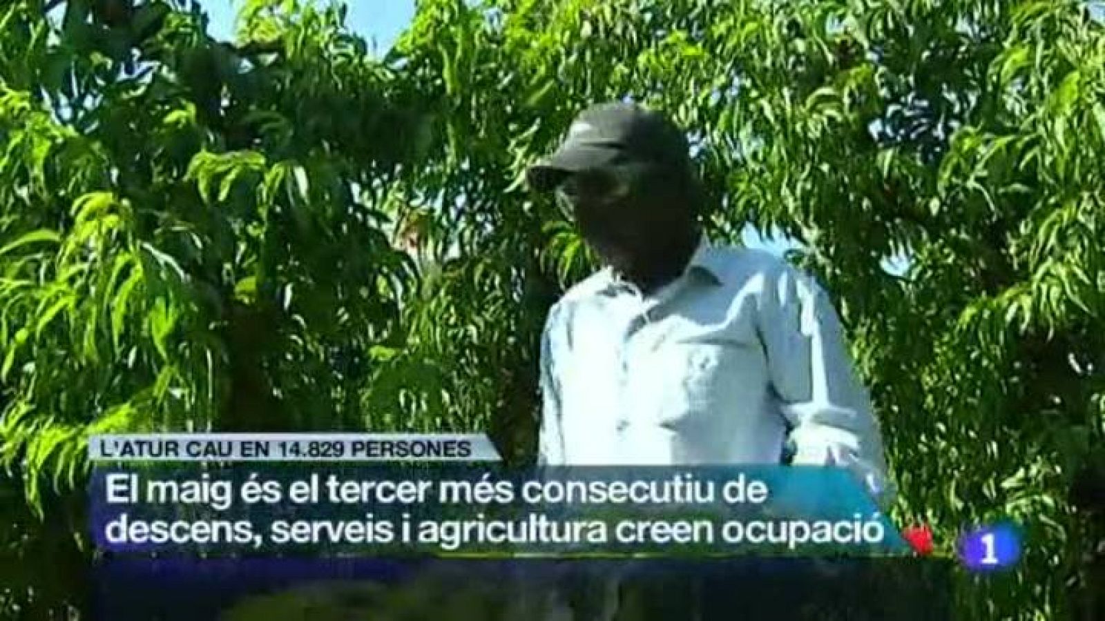 L'Informatiu migdia - 04/06/13