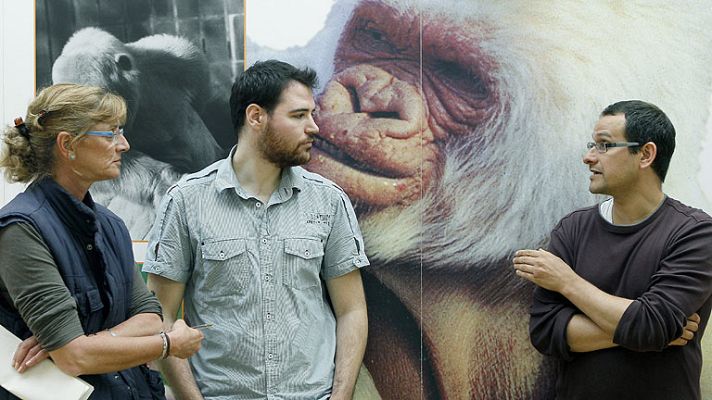 Telediario 1 - Por qué Copito de Nieve era albino