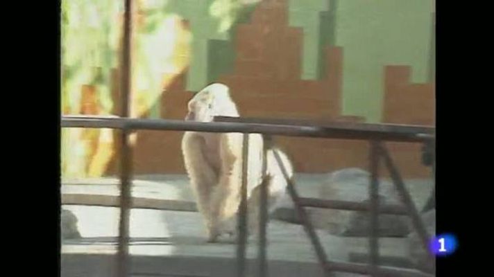 L'Informatiu - L'informatiu 2 - 04/06/2013