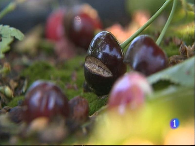 Noticias Aragón 2 - 05/06/13 | Ver