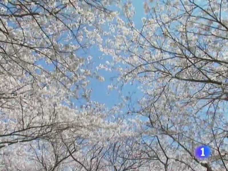 El tiempo en Cantabria - 05/06/13