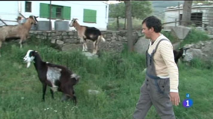 Comando Actualidad - Escuela de pastores