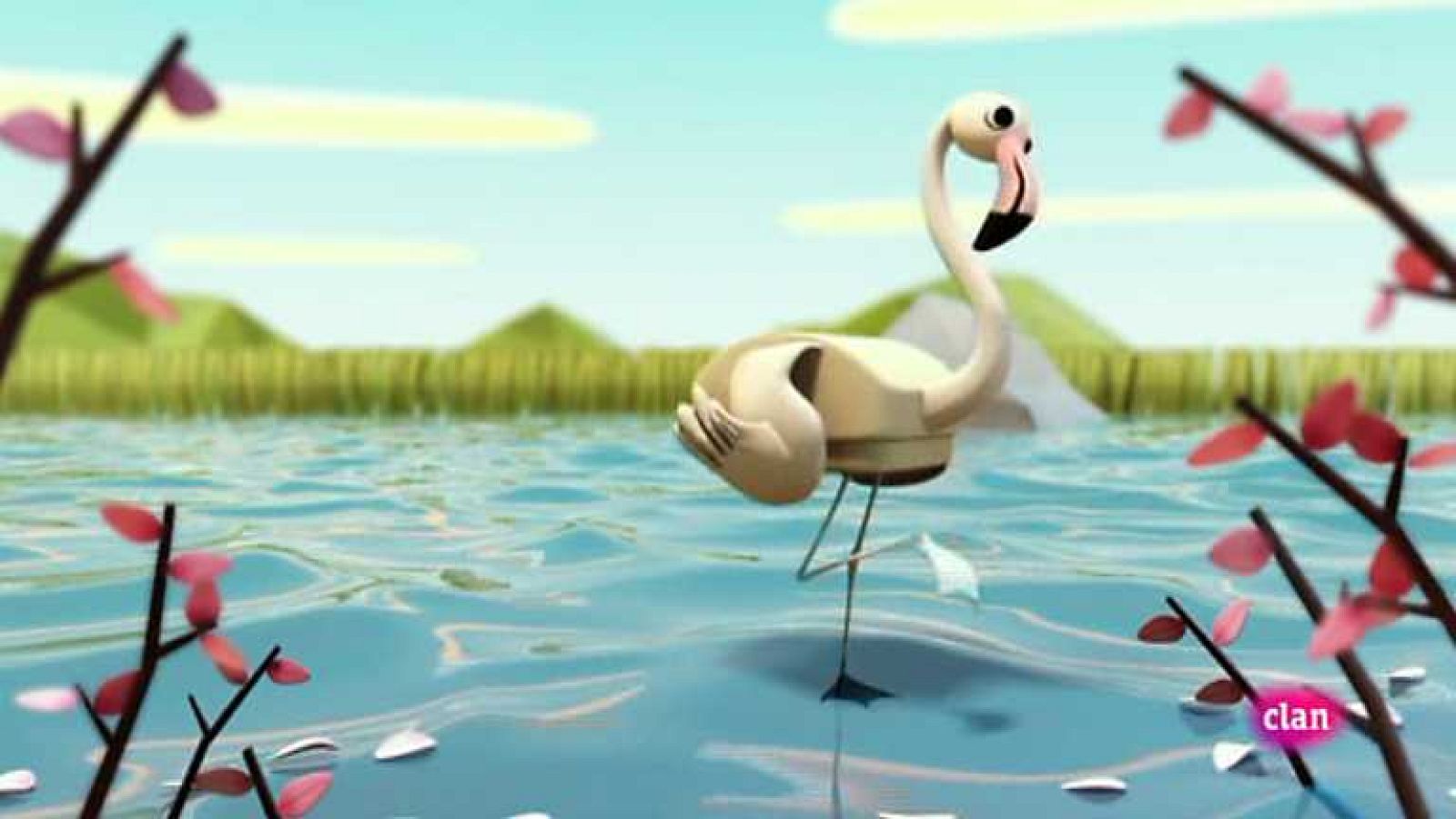 Flamenco - Zoobabu | Ver