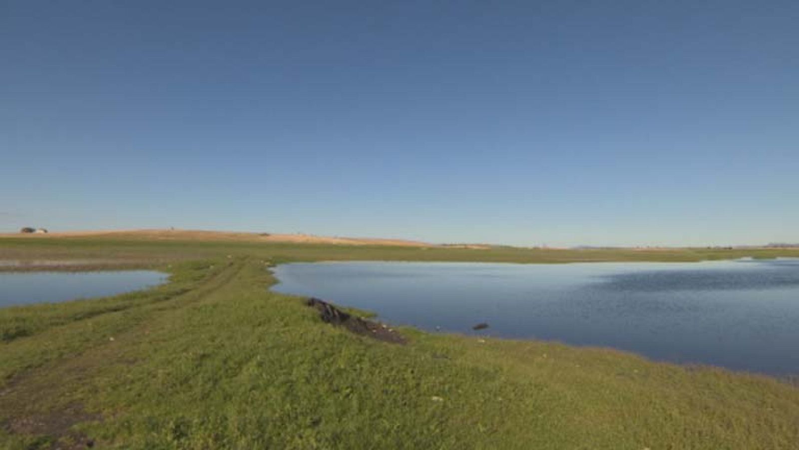El parque nacional de las Tablas de Daimiel amplia su extensión