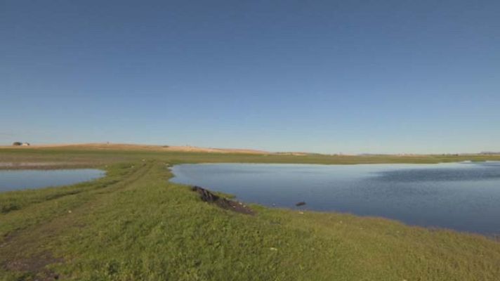 Telediario 1 - Se amplían las Tablas de Daimiel