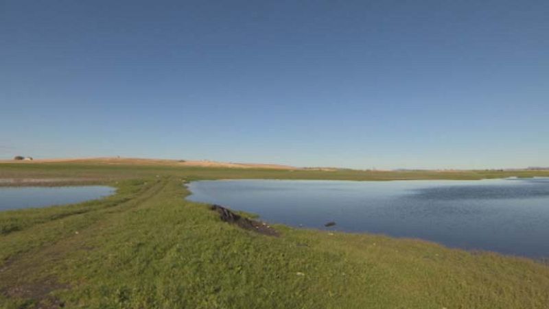 El parque nacional de las Tablas de Daimiel amplia su extensión