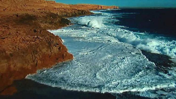 Informativo 24h - Día Mundial de los Océanos