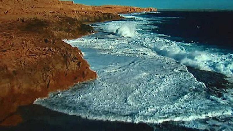 La ONU pide proteger los mares en el Día Mundial de los Océanos