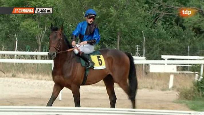 Turf - Turf - 09/06/13