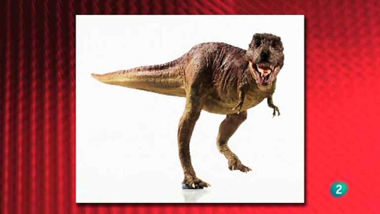 Saber y ganar - 11/06/13 - Ver ahora